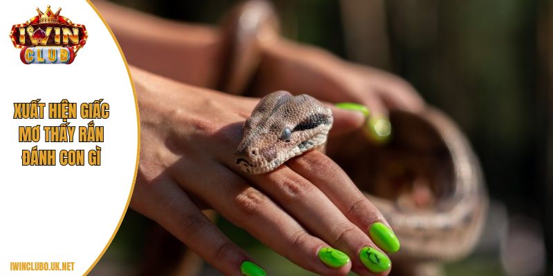 Xuất hiện giấc mơ thấy rắn đánh con gì