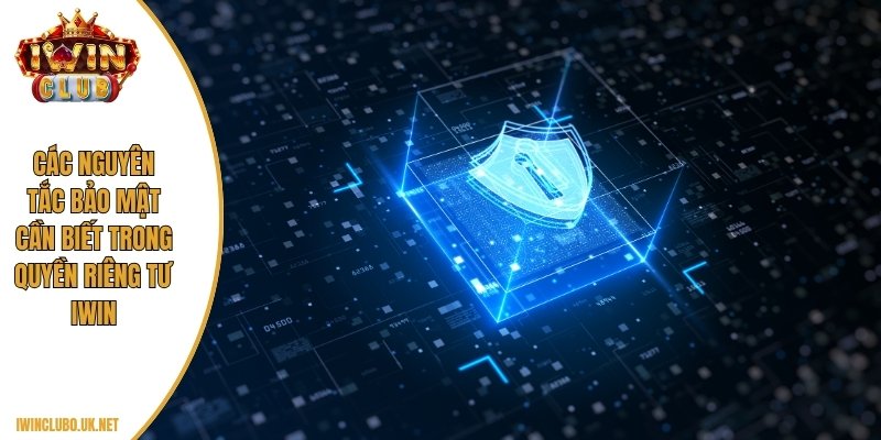 Các nguyên tắc bảo mật cần biết trong quyền riêng tư Iwin
